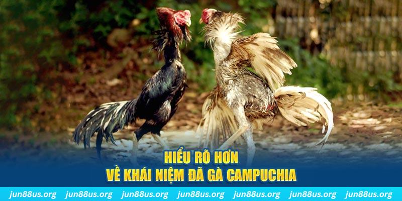 Đá Gà Campuchia - Trải Nghiệm Phút Giây Nghẹt Thở Tại Jun88 5 Hiểu rõ hơn về khái niệm đá gà Campuchia