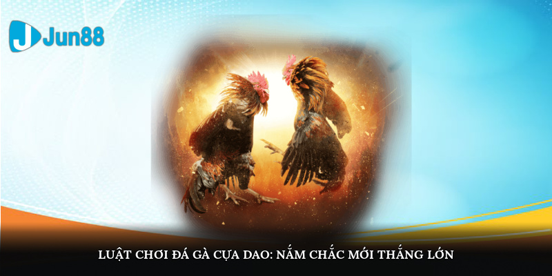Đá Gà Cựa Dao – Khám Phá Luật Chơi Và Mẹo Cá Cược Tinh Anh 5 Luật chơi đá gà cựa dao: Nắm chắc mới thắng lớn