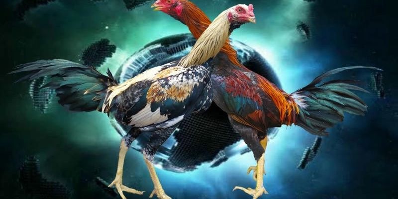 Điểm khác biệt lớn so với các hình thức khác