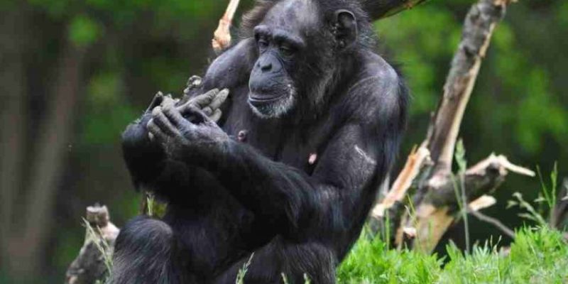 Kinh nghiệm kết hợp với dự đoán con số